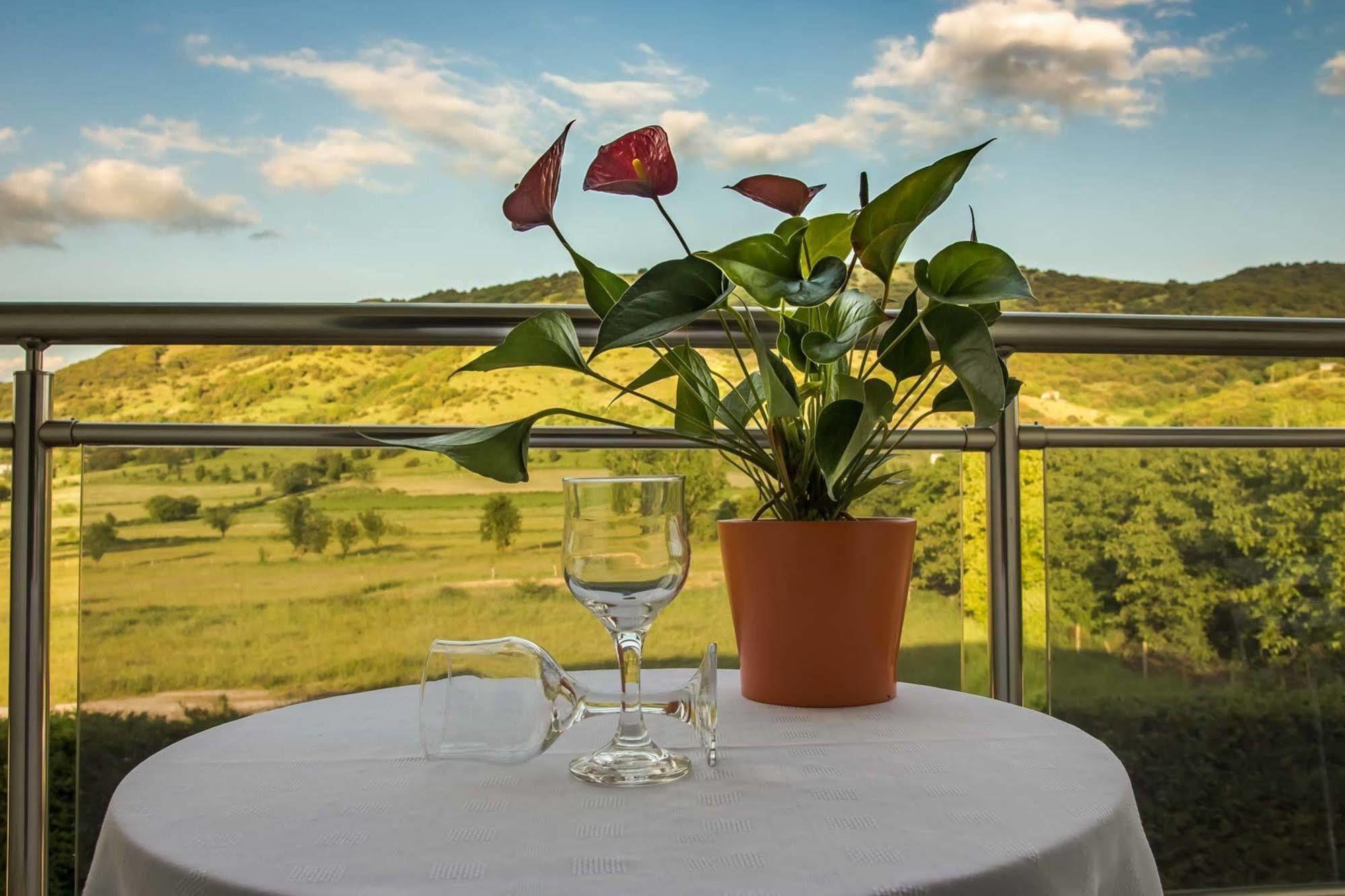Giotis Boutique Hotel Ioannina Eksteriør billede